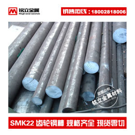 进口SMK22渗碳齿轮钢圆棒日标高强度钢棒耐磨热轧结构大直径圆钢