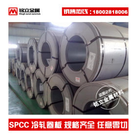 进口SPCC光亮冷轧钢带 SPCC-CQ2冷轧卷料 单光双光 0.2 0.3 0.8mm