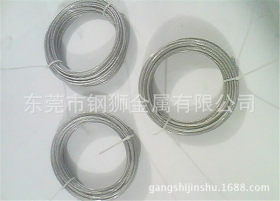 供应 304不锈钢钢丝绳 不锈钢线 316L钢丝绳 定做不锈钢丝绳