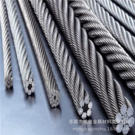 厂家供应 304进口钢丝绳 弹簧线 202不锈钢丝绳 规格齐全