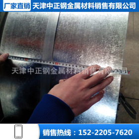 大量批发 天津镀锌板卷 镀铝锌板生产厂家 白镀锌铁皮