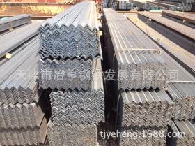 天津国标角钢大全  30*3角钢批发  低价销售    买角钢找冶亨钢铁