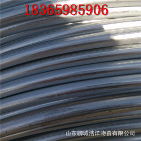 6-25mm规格镀锌圆钢 热镀锌圆钢 工业生产加工用纯热镀镀锌圆钢