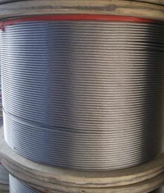 厂家供应304不锈钢钢丝绳配件  各种钢丝绳加工