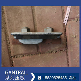 GANTRAIL 柔性技术压轨器 及橡胶垫板