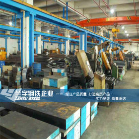 兰宇钢铁供应高硬度耐磨SKD11模具钢板 高碳铬SKD11光板加工