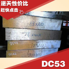 供应大同进口模具钢DC53 高耐磨DC53 板材 热销中 免费取样