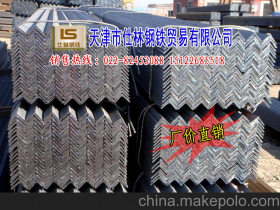 买角钢、天津国标角钢、天津供应热轧角钢 出口