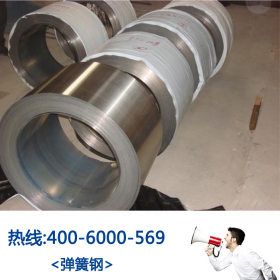 【厂家供应】日本 碳素结构钢  CK20 CK22 进口弹簧钢