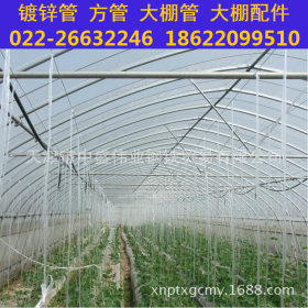 北京热镀锌西瓜大棚管,葡萄草莓镀锌钢管,蔬菜大棚管定尺