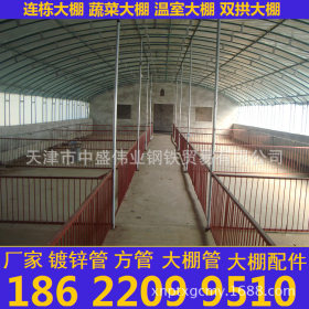 潍坊淄博热镀锌大棚钢管20 25 32 大棚钢管厂 设计安装大棚