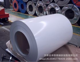 天津新宇彩涂板厂家直销 镀铝锌彩涂卷 彩钢瓦楞板 规格全 价格优