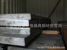 东莞SUJ2钢板 SUJ2高碳铬轴承钢板 东莞Gcr15轴承钢板 物流配送