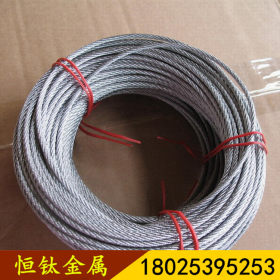 广东厂家直销304高品质钢丝绳304不锈钢多股软态钢丝绳配吊具挂钩
