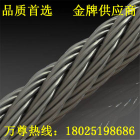 供应 310S不锈钢钢丝绳 镀锌包胶环保钢丝绳 产品定制