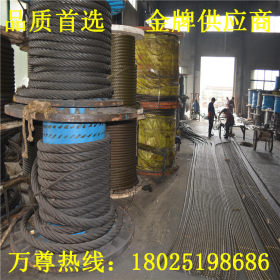 厂家供应SUS316L不锈钢钢丝绳 304不锈钢丝绳 镀锌包胶钢丝绳