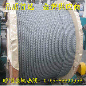 现货供应 201不锈钢丝绳 镀锌不锈钢钢丝绳 各种钢丝绳加工