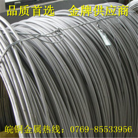 供应 304不锈钢钢丝绳 304不锈钢中硬线 不锈钢弹簧线 厂家直销