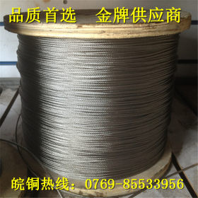 厂家直销 316L不锈钢丝绳 310S不锈钢线 304不锈钢钢丝绳