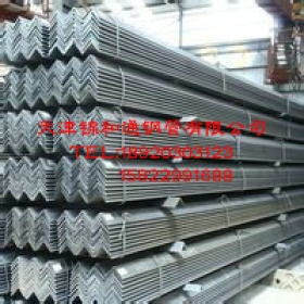 专业生产天津角钢 冷镀锌钢  厂家直销 价格实惠