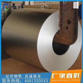 厂家供应镀锌板卷 耐磨耐腐高强度优质镀锌板 金属制品钢结构板