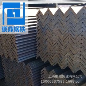 普碳角钢 低合金角钢 热镀锌角钢批发价格 现货供应厂家