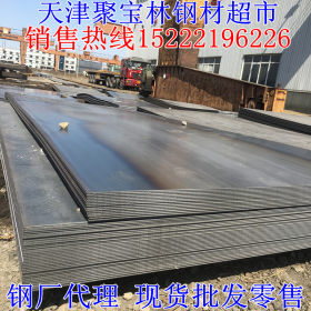 唐钢热卷天津代理商-可按尺寸开平-东丽区钢板供应