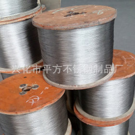 江苏厂家专业供货商 0.5mm0.6mm医疗器械 钢丝绳 拉索