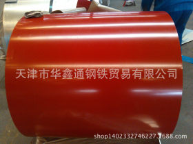 天津彩钢卷 新宇环保彩涂卷 硅改性聚酯彩涂板生产厂家