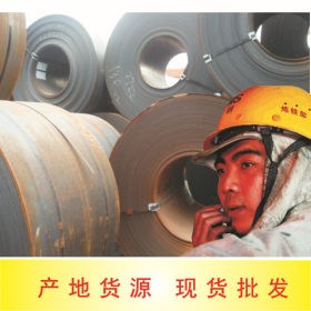 上海现货热轧板卷 可分条加工热轧板卷 特价销售热轧板卷