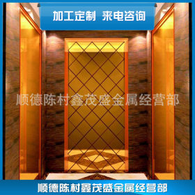专业销售  不锈钢蚀刻电梯彩色板   电梯专用不锈钢装饰板