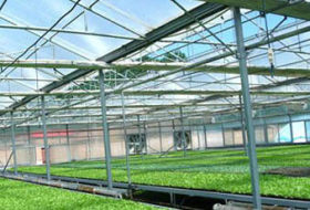 日光温室大棚管 蔬菜种植镀锌大棚管 单体蔬菜大棚钢管