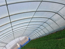 日光温室大棚管 蔬菜种植镀锌大棚管 单体蔬菜大棚钢管