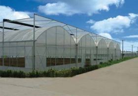 供应优质 质量可靠 温室大棚厂家 温室大棚骨架 玻璃温室大棚