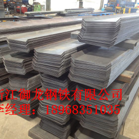宁波厂家直销300*3mm止水钢板 批发定做各种规格 热镀锌止水钢板