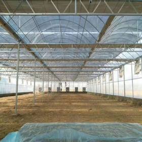 天津大棚管厂家包工包料建造农业温室大棚 智能温控外遮阳连栋棚