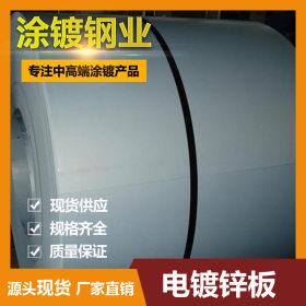 广东现货销售电镀锌板 电解板secc 电镀锌板可定尺开平 厂家直发