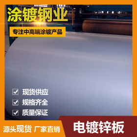 广东现货销售电镀锌板 电解板secc 电镀锌板可定尺开平 厂家直发