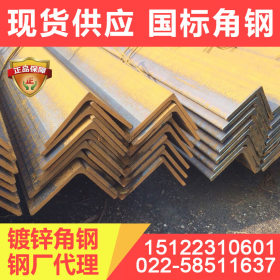 Q355C角钢现货供应 耐低温型材 厂库直发 量大价优