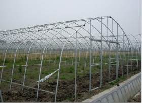 江苏无锡大量生产 大棚镀锌钢管 农业大棚钢管 草莓大棚钢管