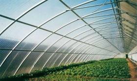 专业生产安装温室大棚管 农业蔬菜大棚管 大棚配件 大棚管折弯机