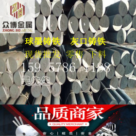 宁波众博金属材料 球墨铸铁棒 灰口铸铁棒HT250 行业领先供应商