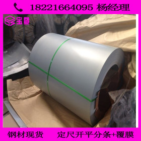 现货供应 耐指纹电镀锌板卷  SECCN5 0.5  1.0  1.2厚