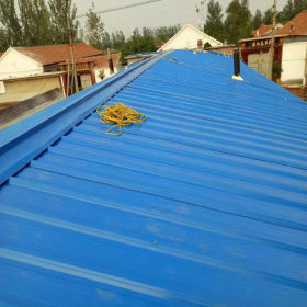 彩钢瓦屋顶专业隔热波浪瓦耐酸碱屋顶波浪瓦彩钢塑料建材波浪瓦