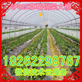 安徽安庆温室大棚管 1.2寸蔬菜大棚管25*1.5*6.4米大棚管