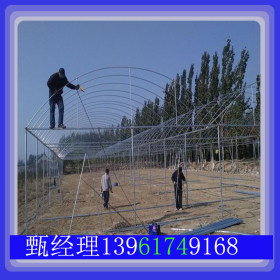 专业供应 荆州热镀锌农用大棚管上门指导安装 价格优惠 欢迎来电