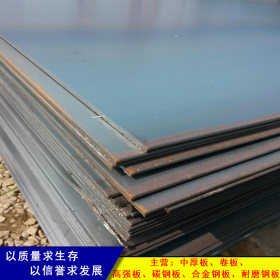 正品供应 低合金Q235E钢板 耐低温Q235E卷板 中厚钢板 江苏无锡