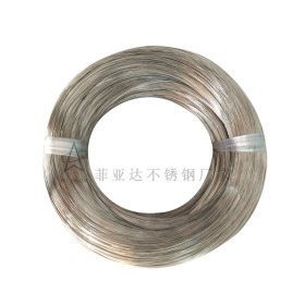 菲亚达不锈钢弹簧丝 厂家批发201不锈钢弹簧线 直径0.45mm线材