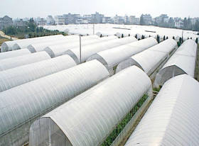重庆花卉温室大棚钢管 蔬菜大棚管 连栋大棚管 架子管厂家现货
