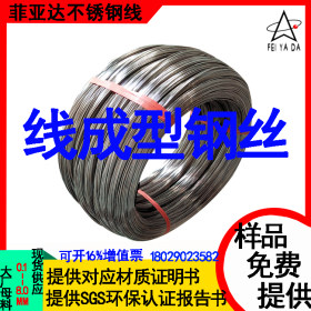 广东哪有不锈钢电解线批发 东莞菲亚达厂家直销304电解线质量好